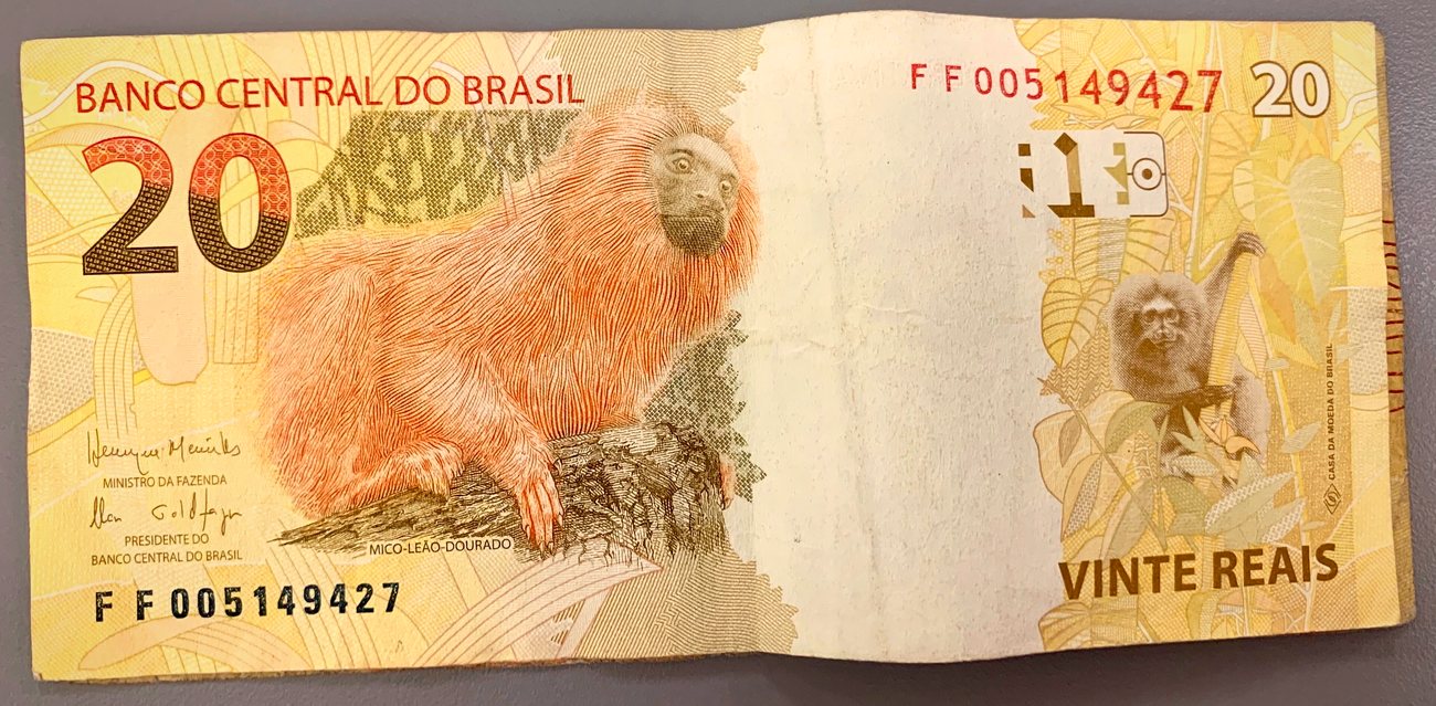 Brazilian real banknotes fanned out