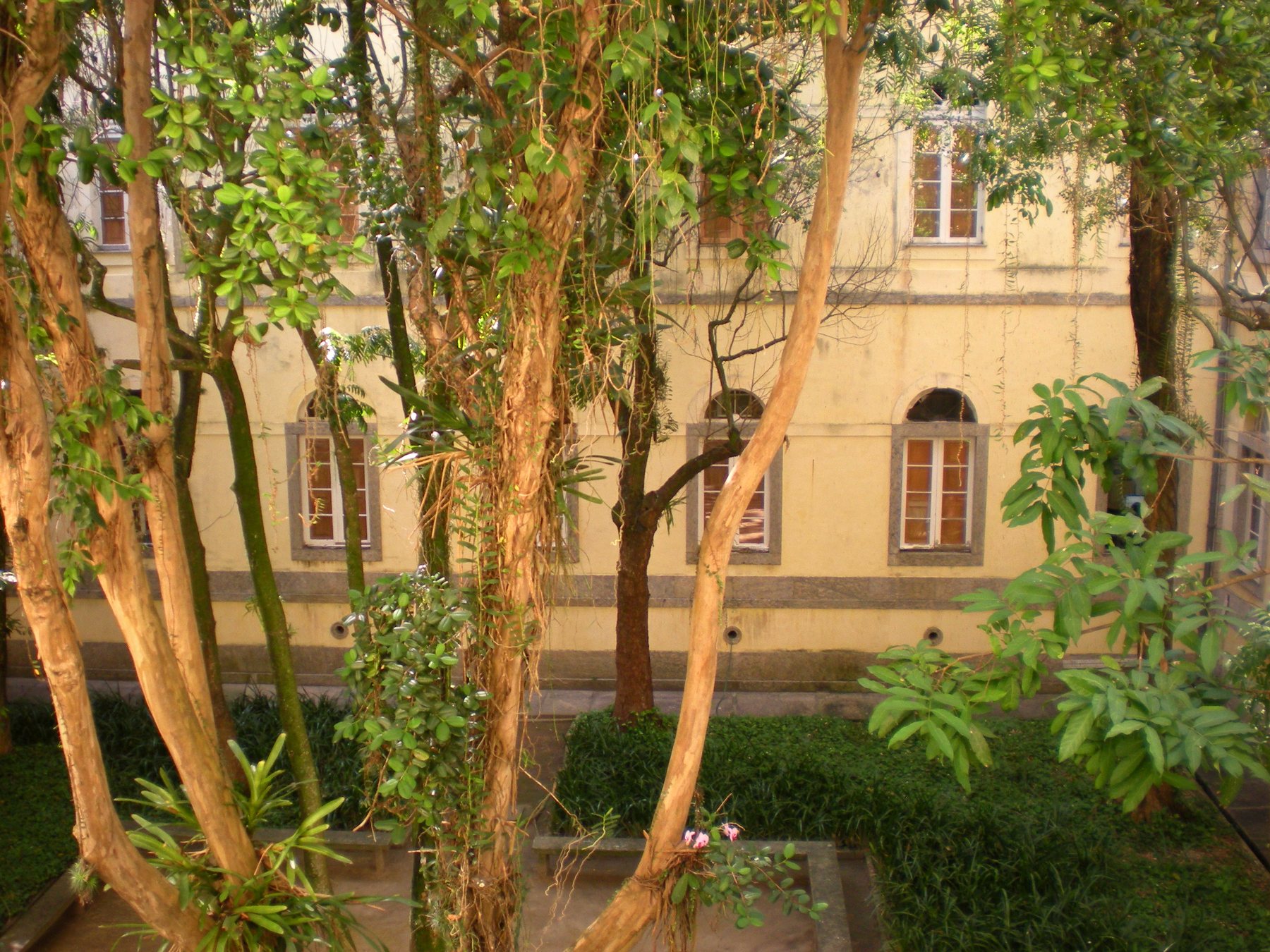 Healthcare in Brazil for Foreigners: A Rio Guide
