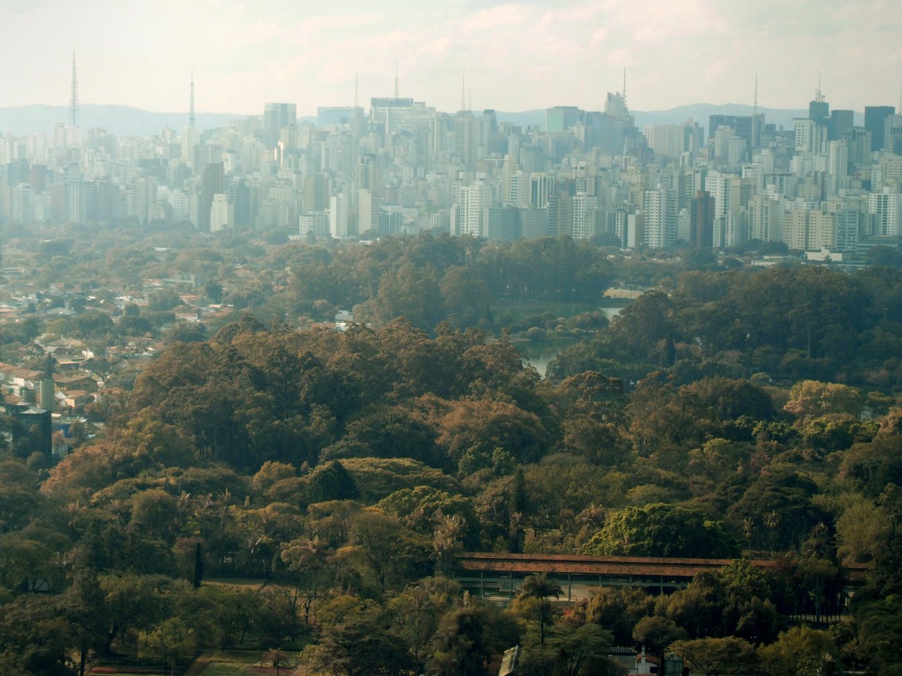 Dense high-rise skyline of São Paulo stretching to the horizon