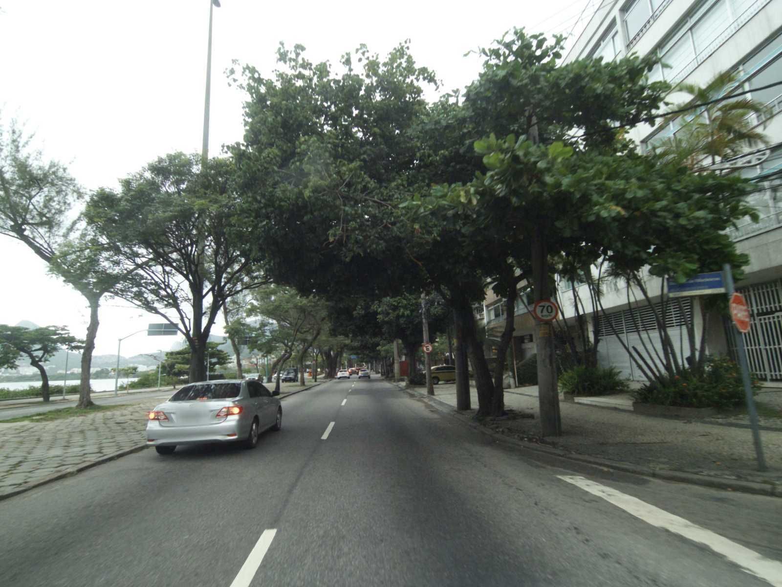 Street-level view near Campo de Tulipas, Lagoa