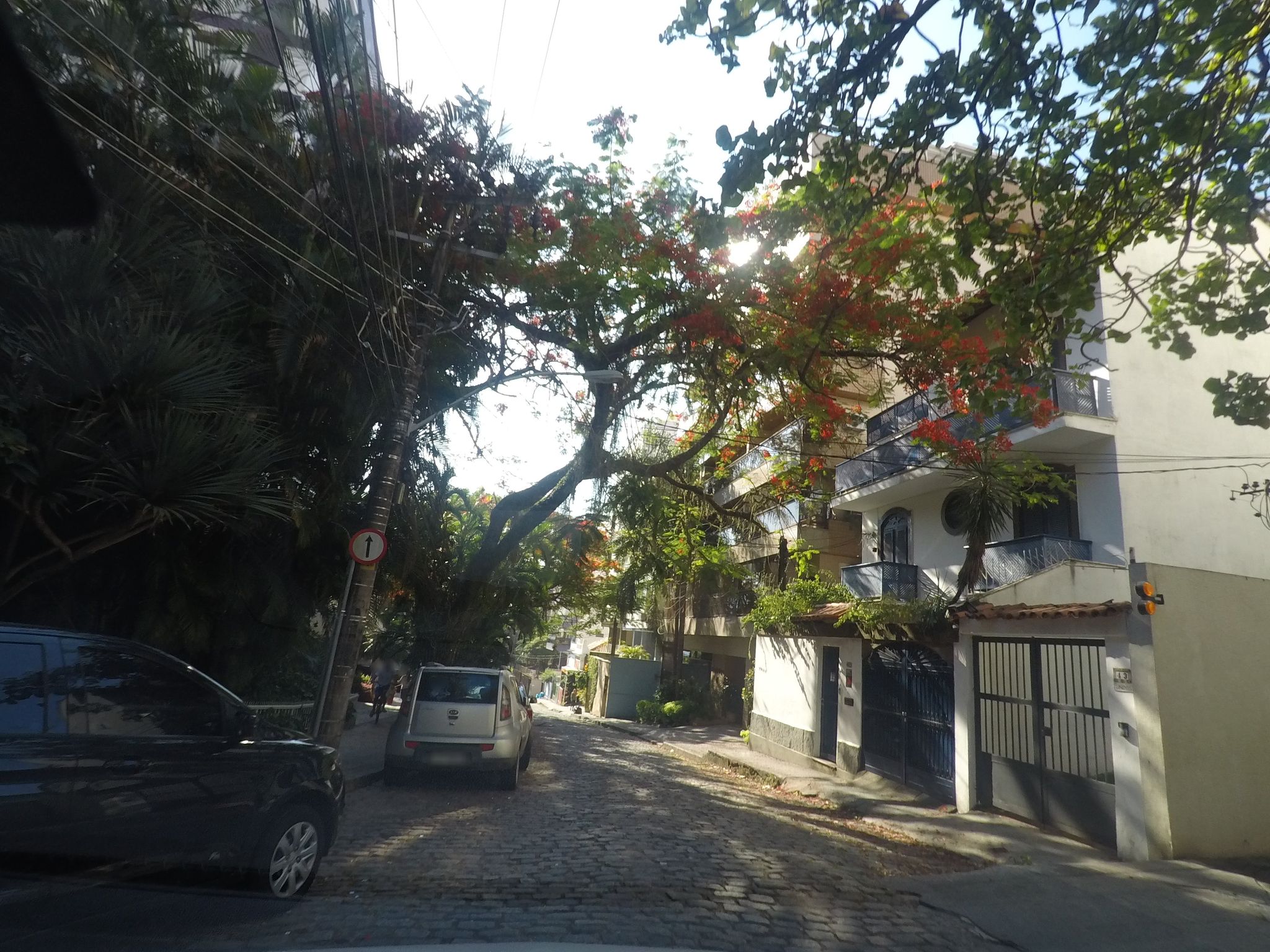 Street-level view near Conde D Alba, Jardim Botânico