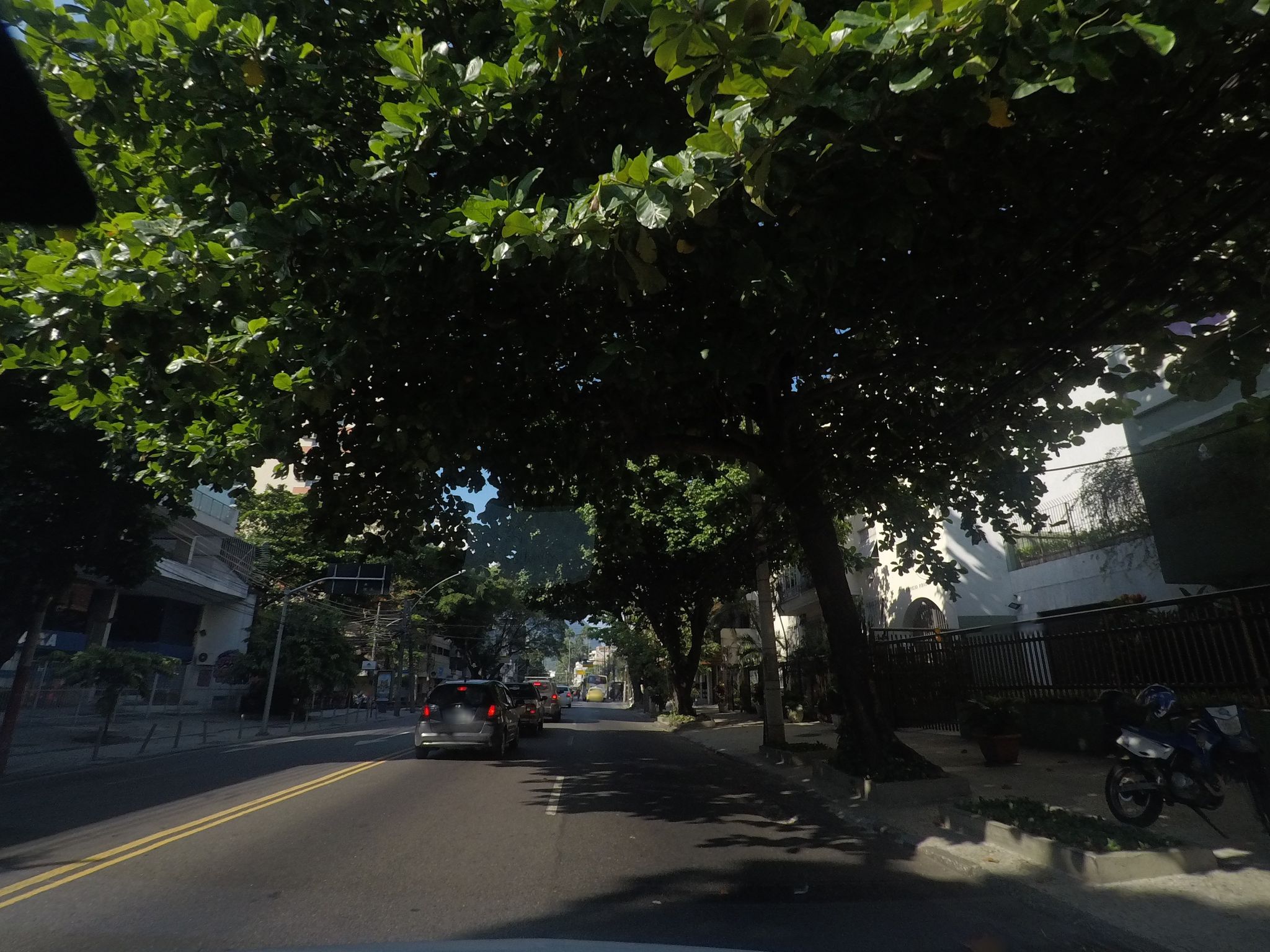 Street-level view near Jardim Botânico Offices, Jardim Botânico