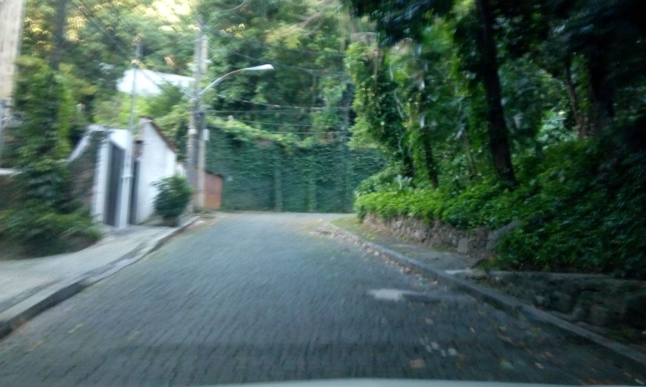 Street-level view near Palm Court, Lagoa
