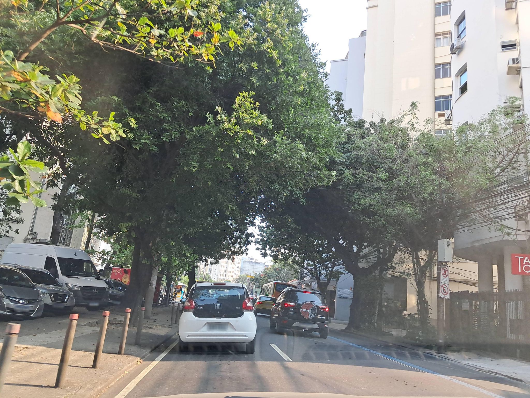 Street-level view near Virginia, Humaitá